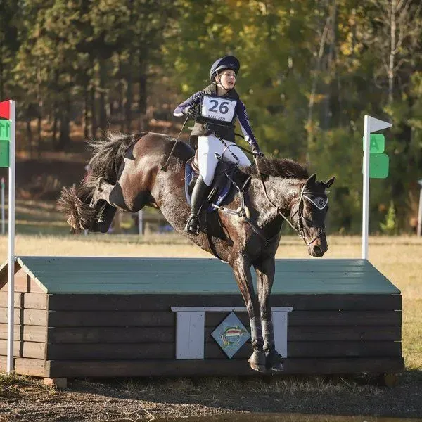 Spokane Sport Horse Farm
