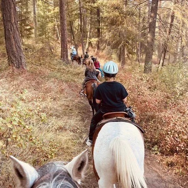 PNW Guided Trail Rides