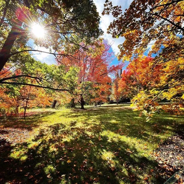 Finch Arboretum Woodland Center