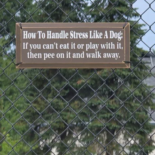 South Hill Dog Park