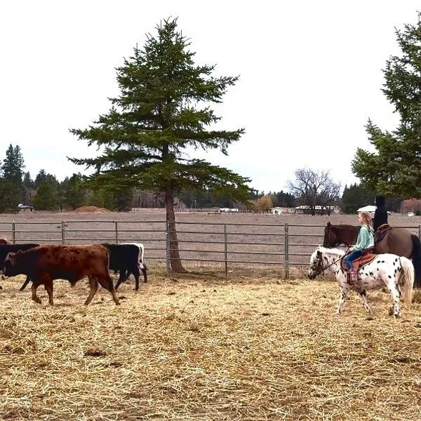 Spokane Equestrian Center