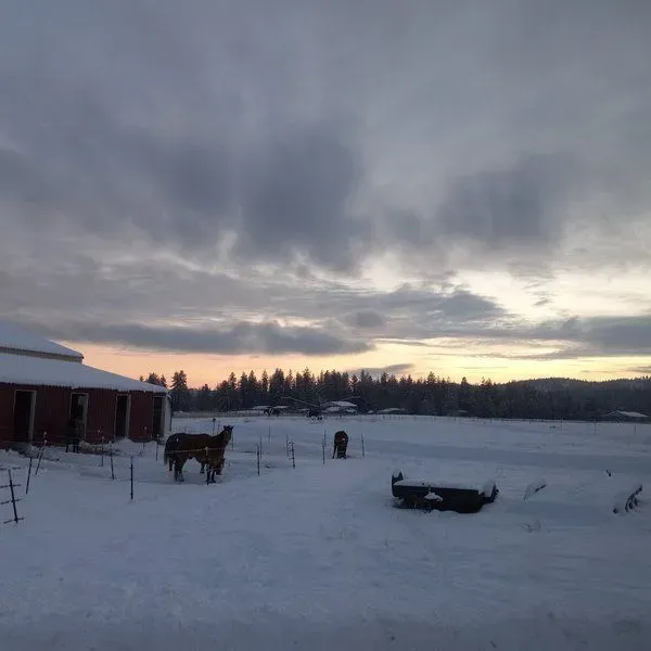 Lady Raven Stables LLC