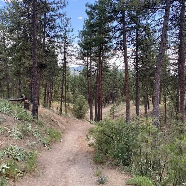 Sekani Disc Golf Course