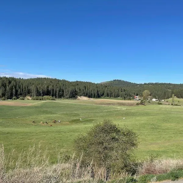 Valley Chapel Farms