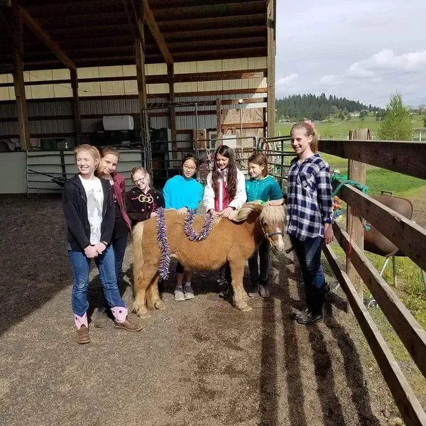 Mini Acres Trot-About Riding School