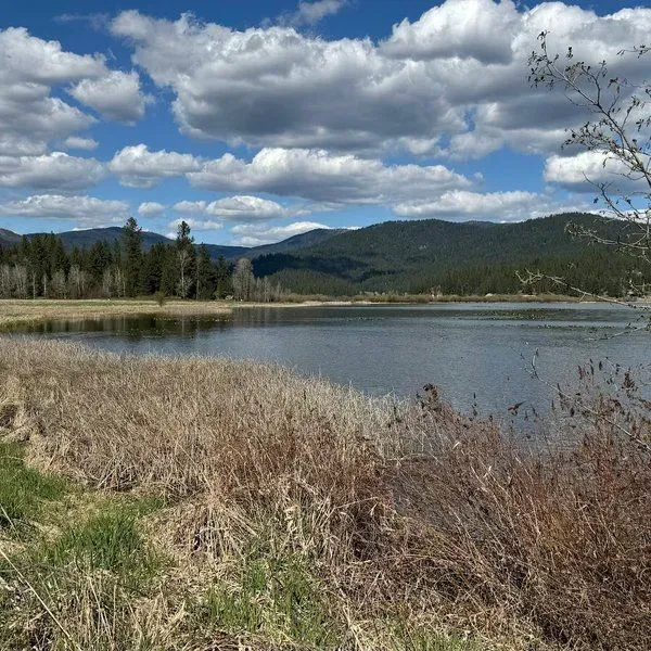McKenzie Conservation Area