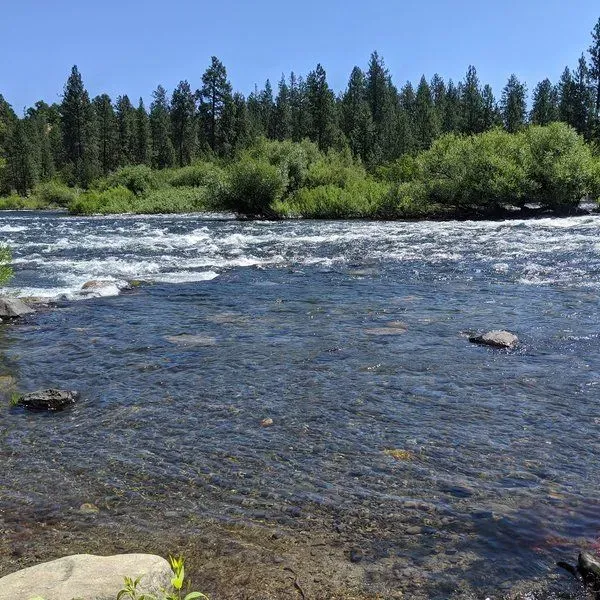 Indian Canyon Natural Area