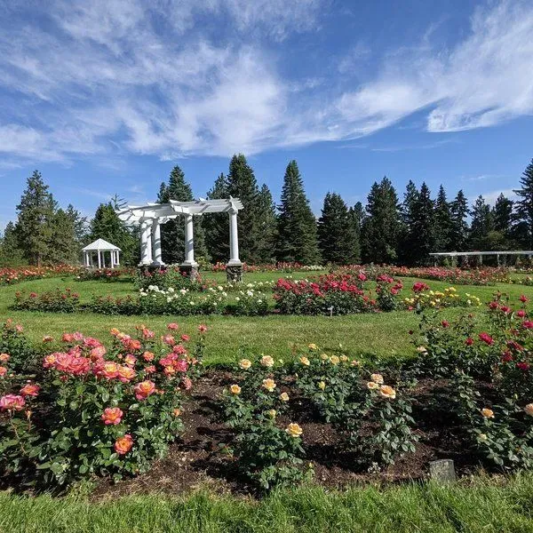 Rose Hill