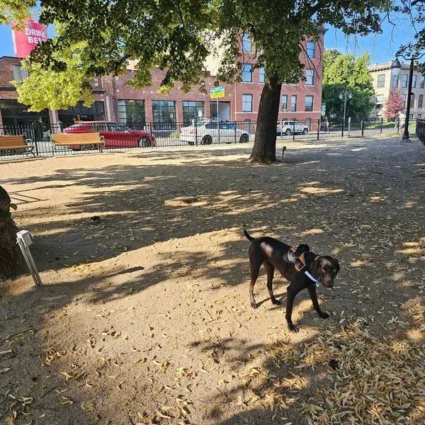 Downtown Spokane Dog Park