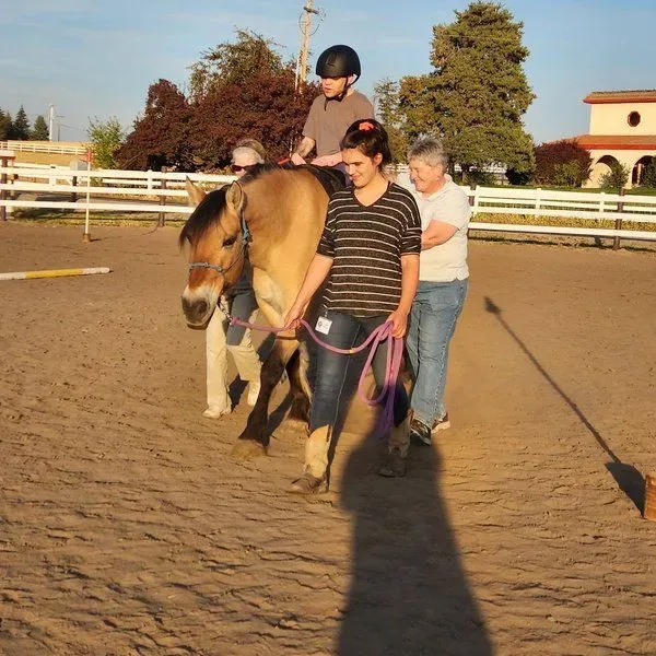 Free Rein Therapeutic Riding