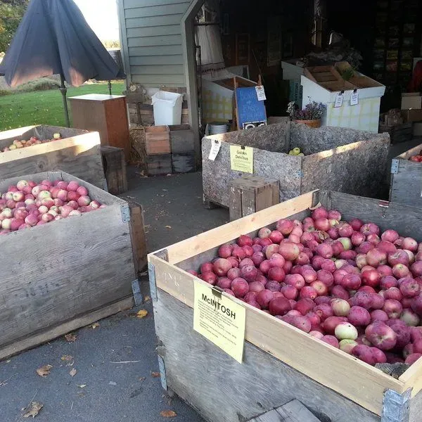 Cole's Orchard, LLC, Organic