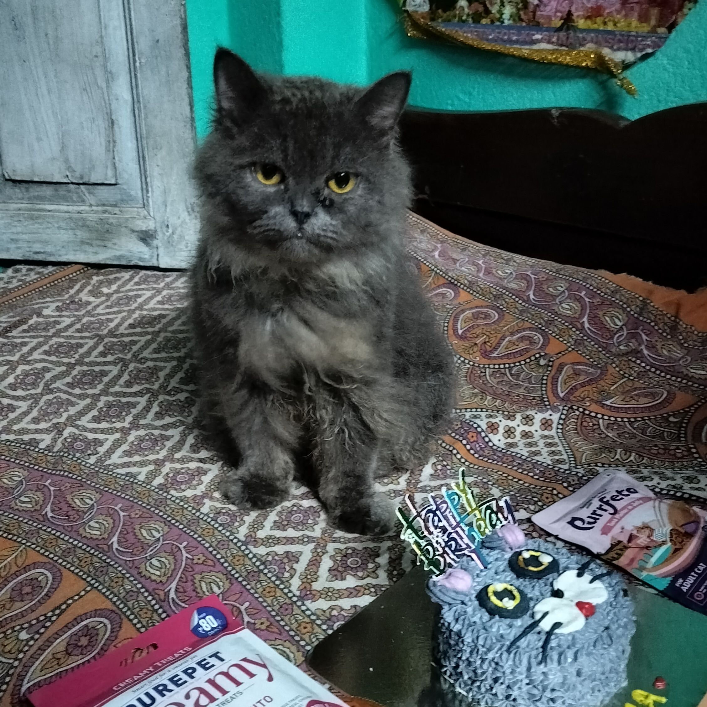 Tuna