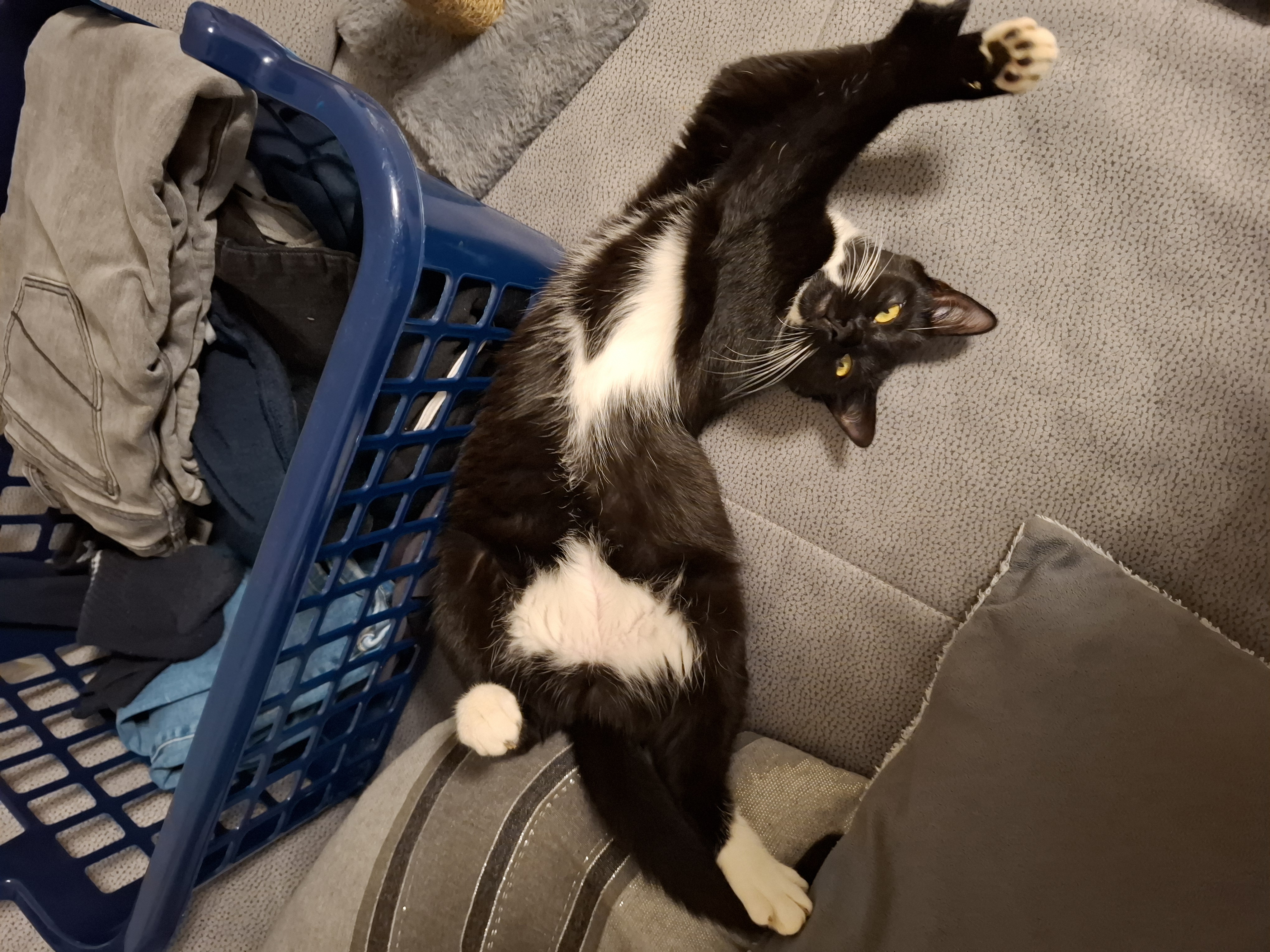 Kami