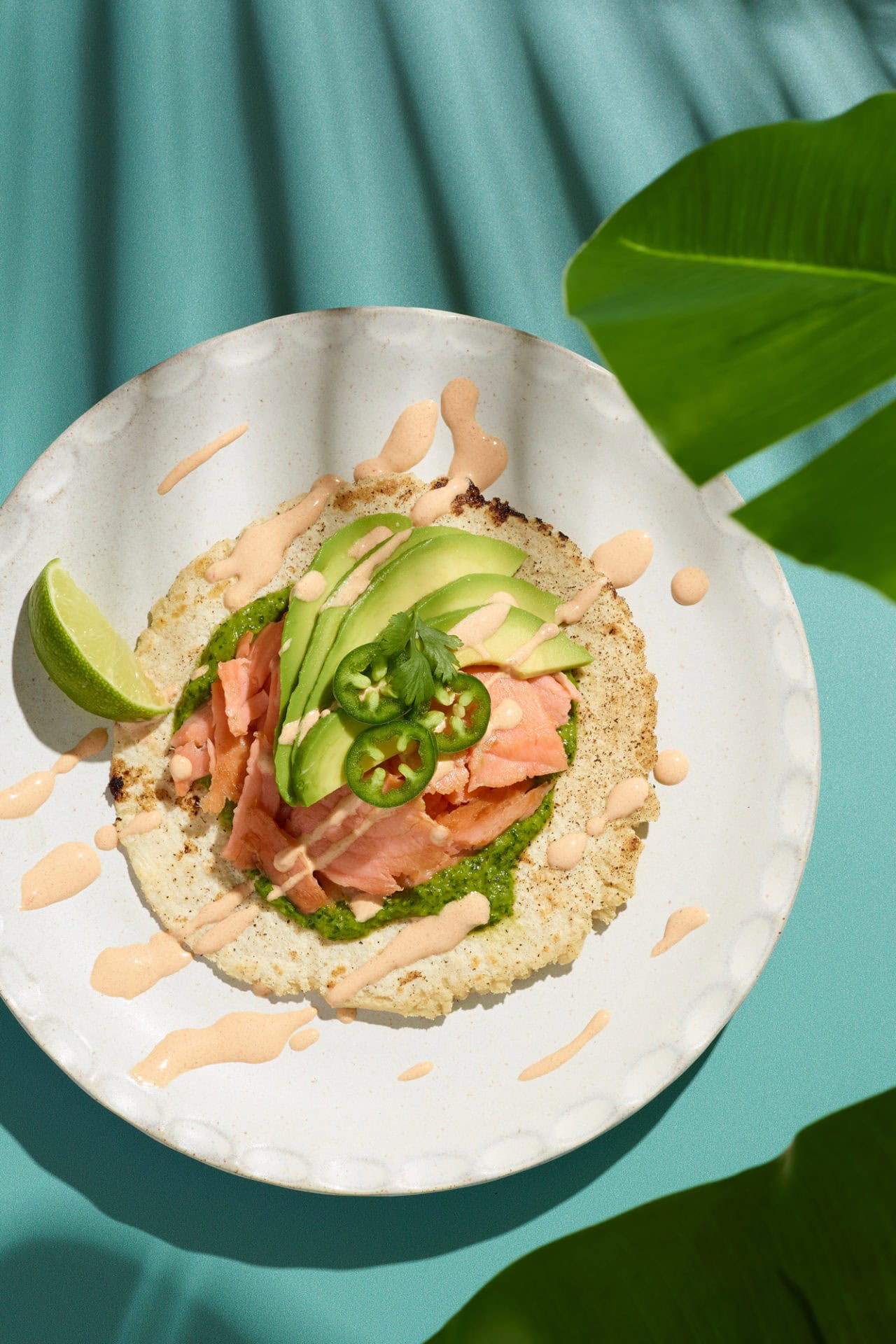 toasted salmon taco with avocado, jalapeno, lime and sauce on white plate with shadows and leaves in foreground. 