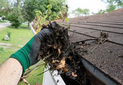 Local Gutter Cleaning