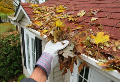 Gutter Cleaning Experts