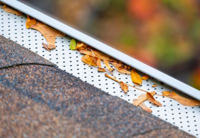 Local Gutter Guard Services