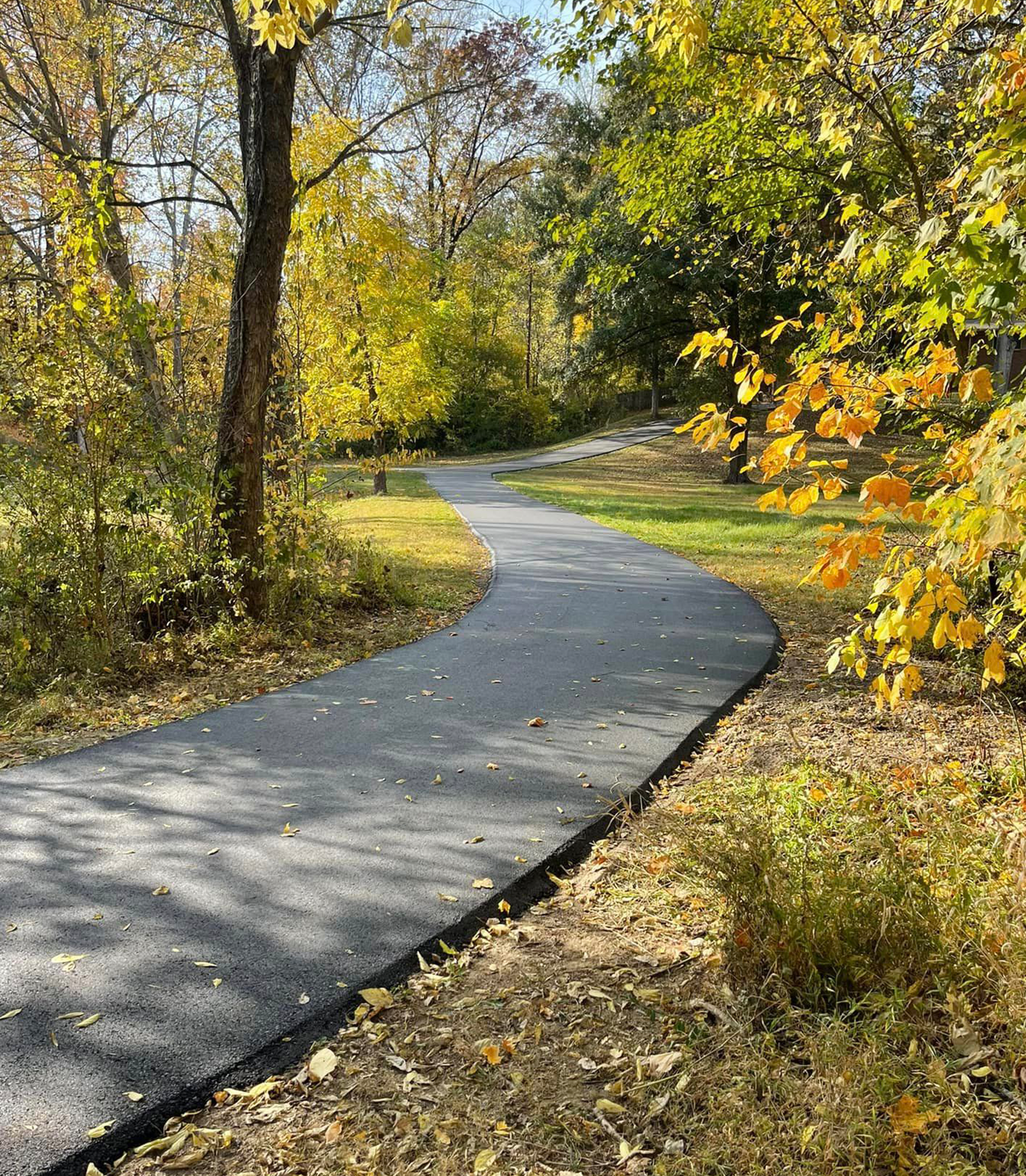 Residential Asphalt Wooded Lot