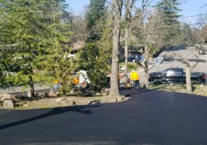 Local Residential Asphalt Paving 