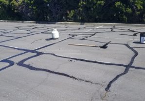 Local Asphalt Sealcoating 