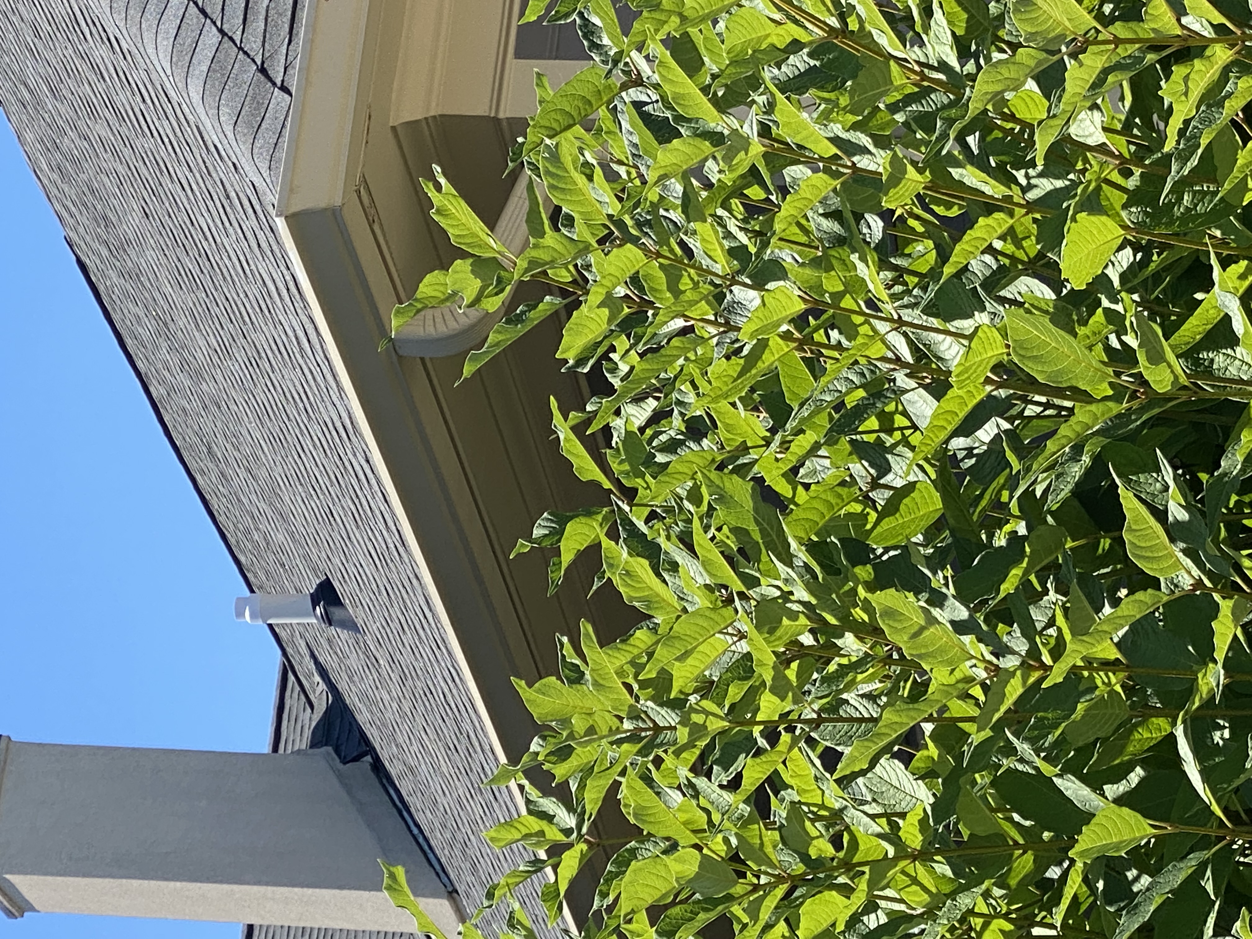 Residential Radon