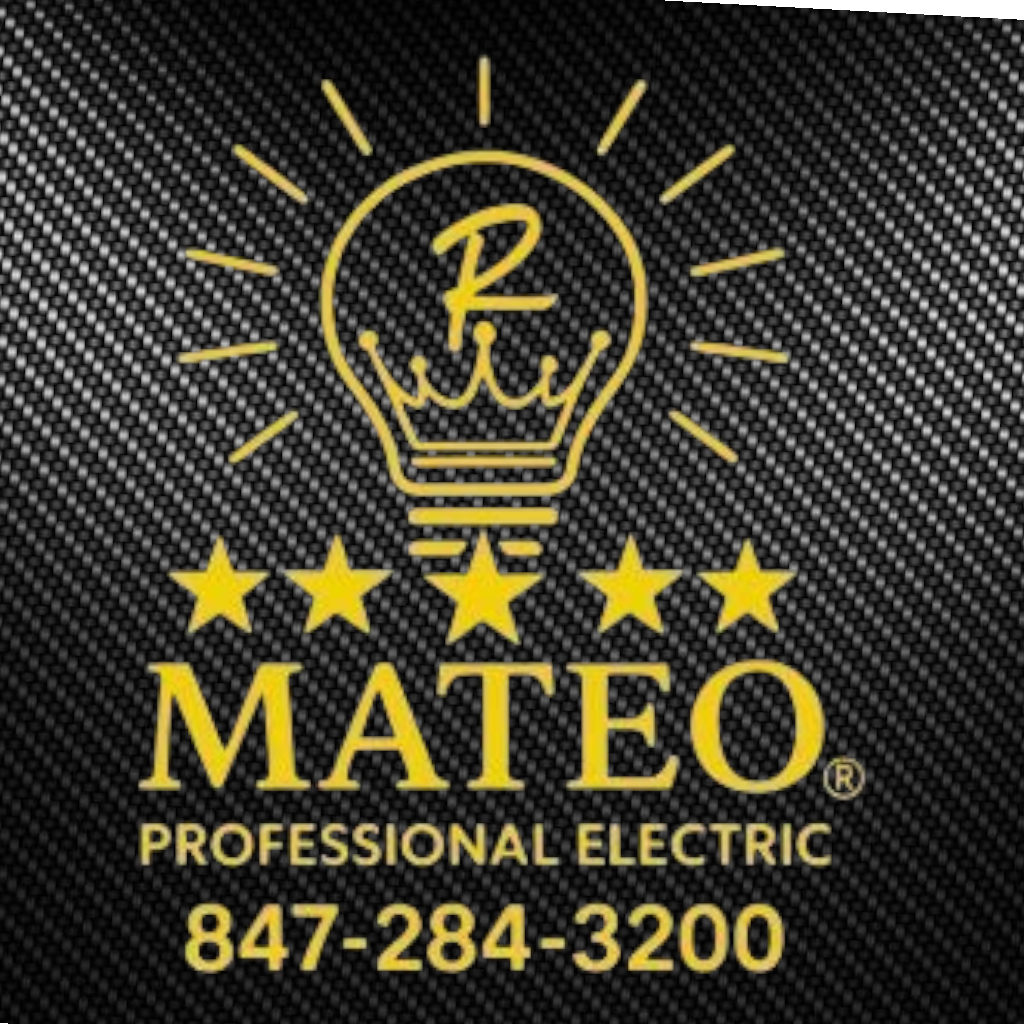 MATEO PROFESSIONAL ELECTRIC 