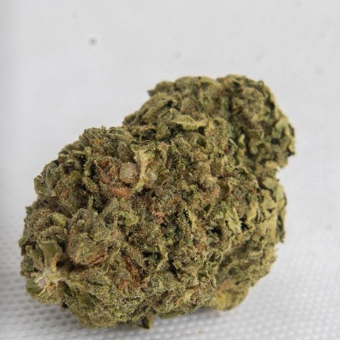 Life on Mars additional image