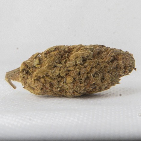 Purple Friiter additional image