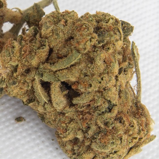 Skunk #1 additional image