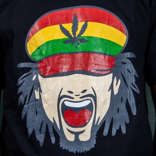 Rasta Activist Shirt additional image