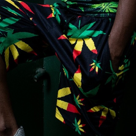 RGY Leaf Shorts additional image