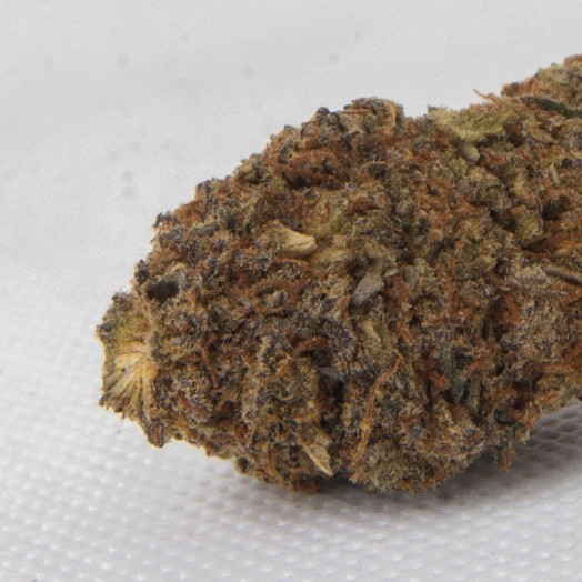 Passion Fruit Punch additional image