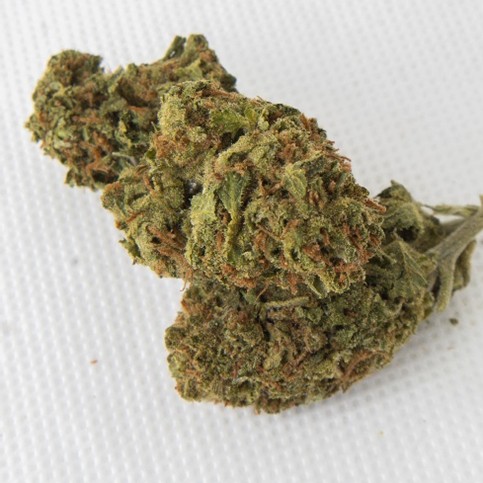 Exodus Cheese additional image