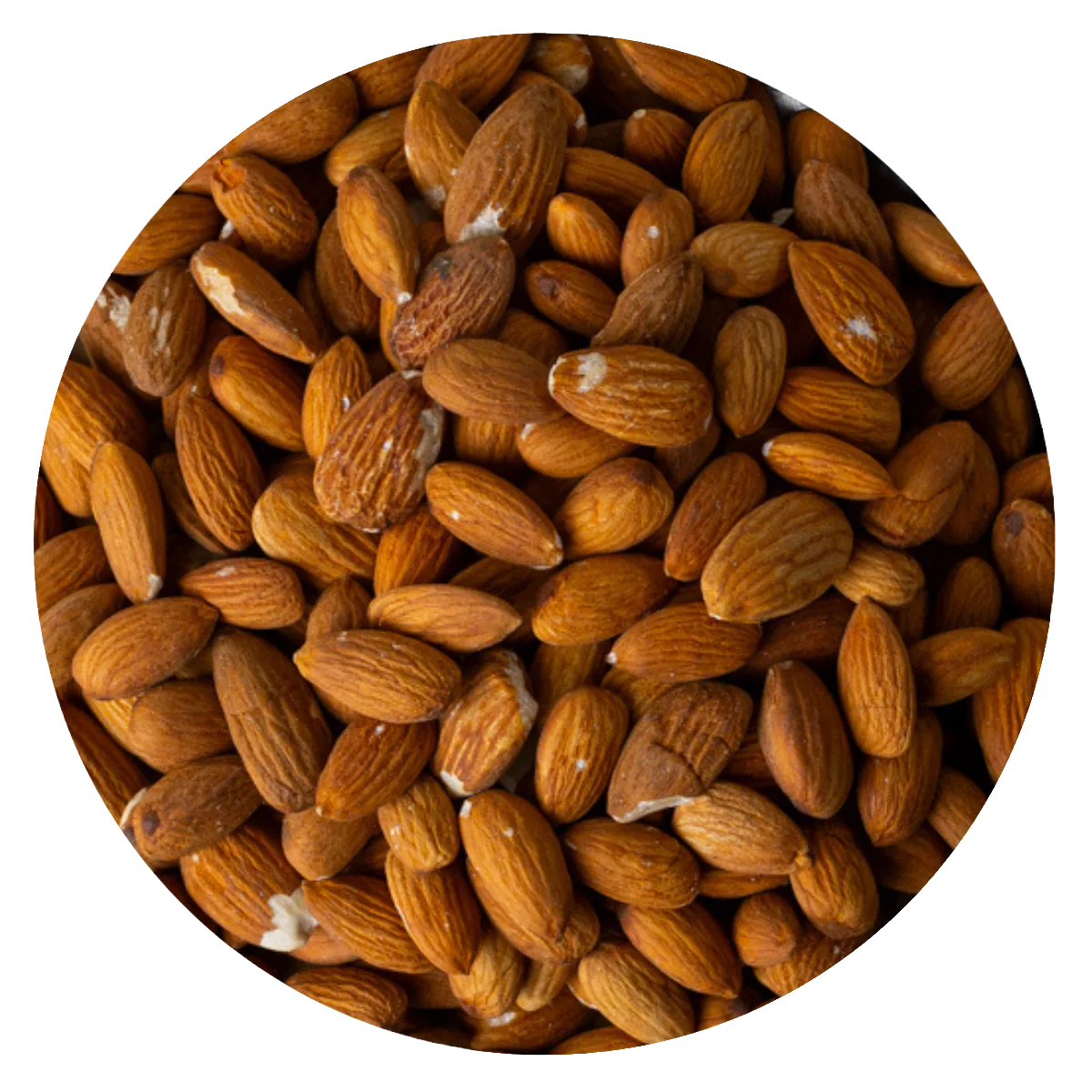 Almendra Non Pareil tipo
