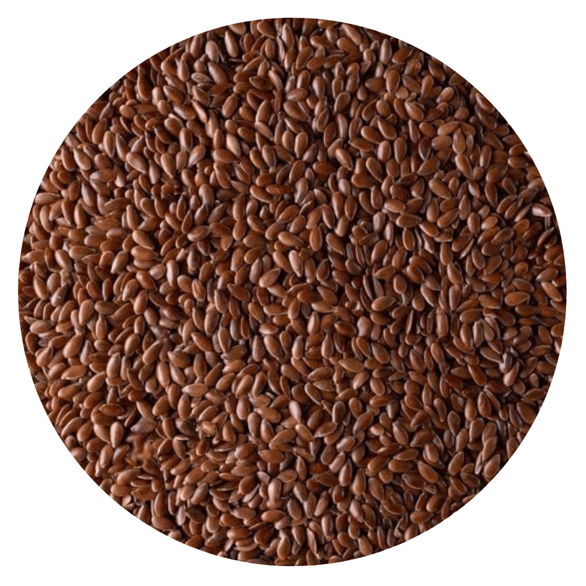 Semilla lino marrón BB 