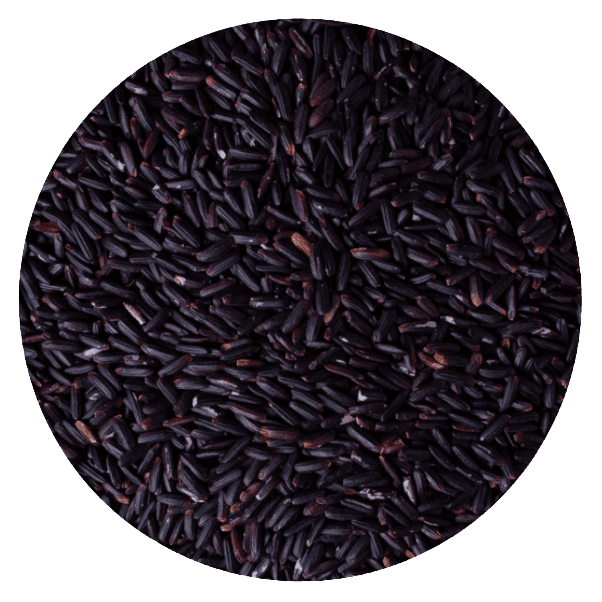 Arroz negro