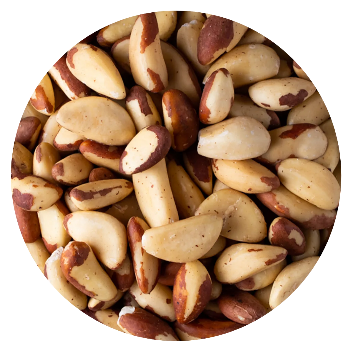 Castaña Para (nuez Brasil)