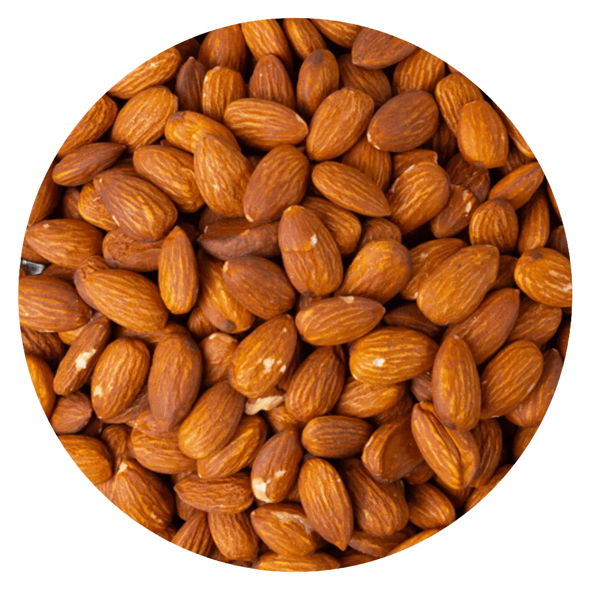 Almendra tostada