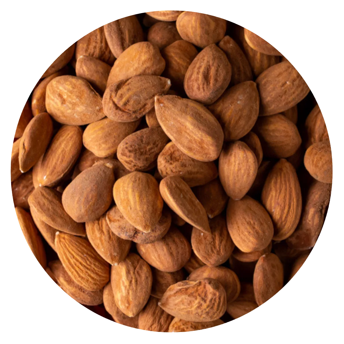 Almendra guara n4
