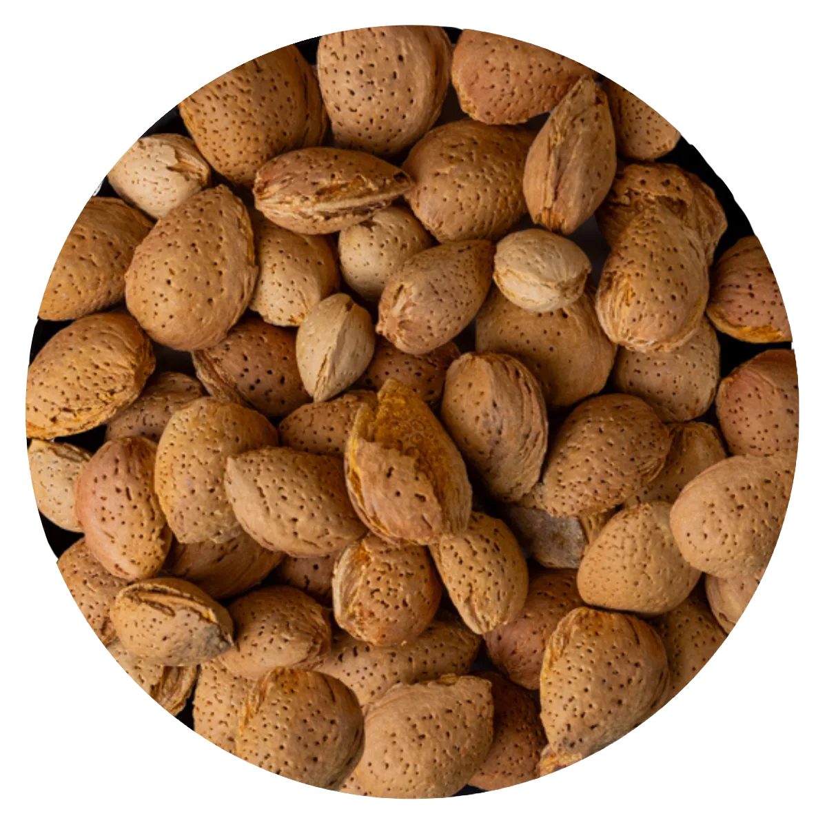 Almendra guara con cascara