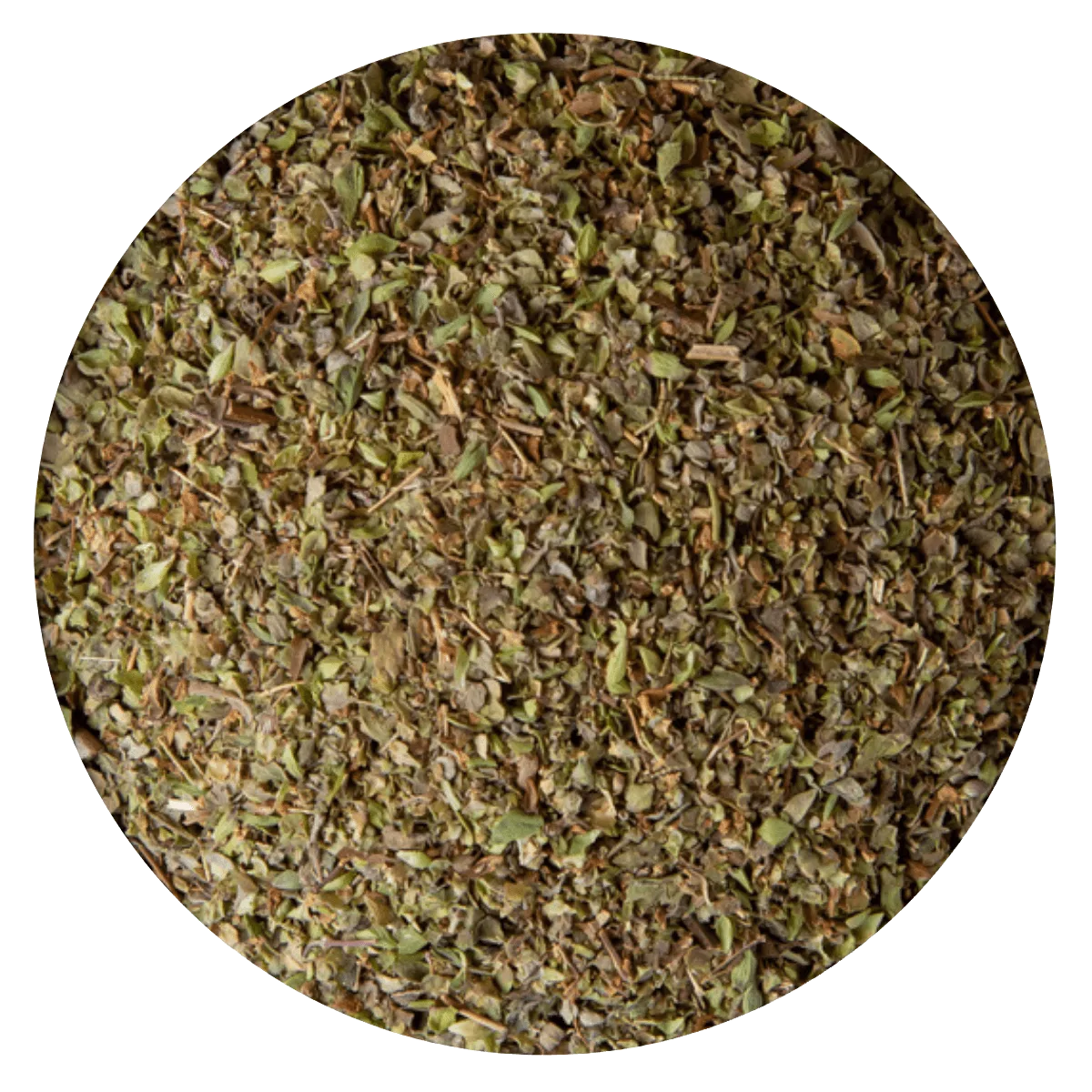 Oregano BB