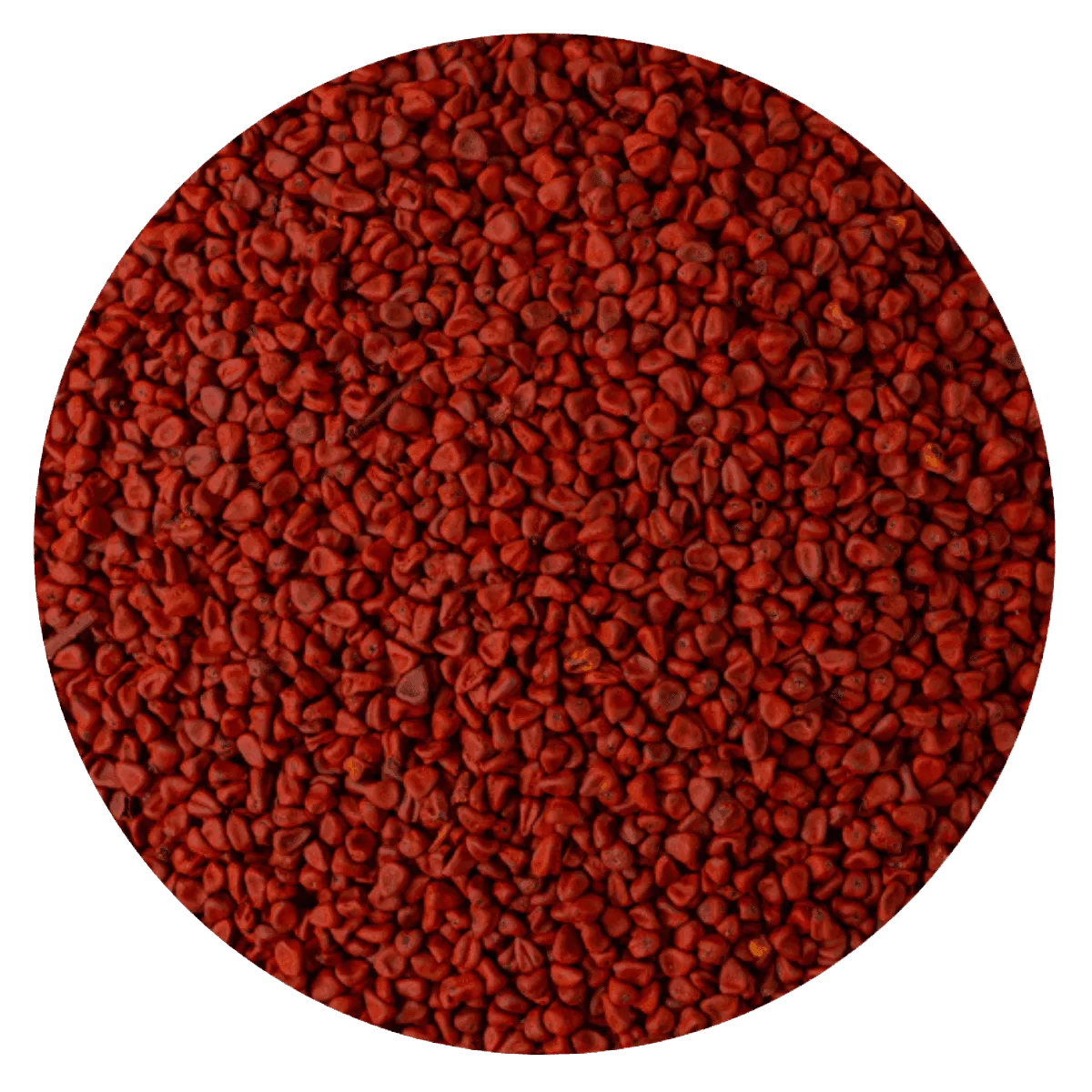 Achiote semilla