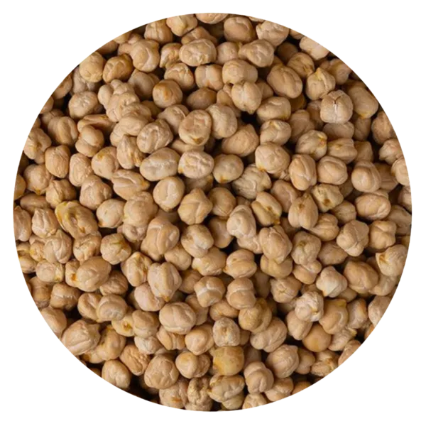 Garbanzo lechoso