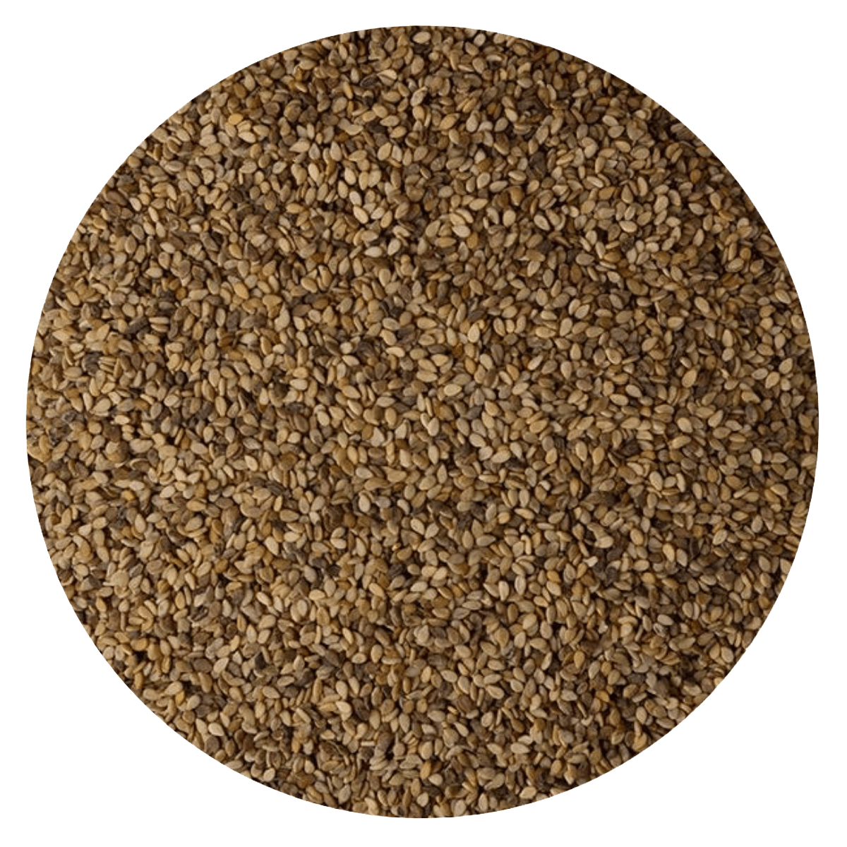 Semilla sésamo integral BB