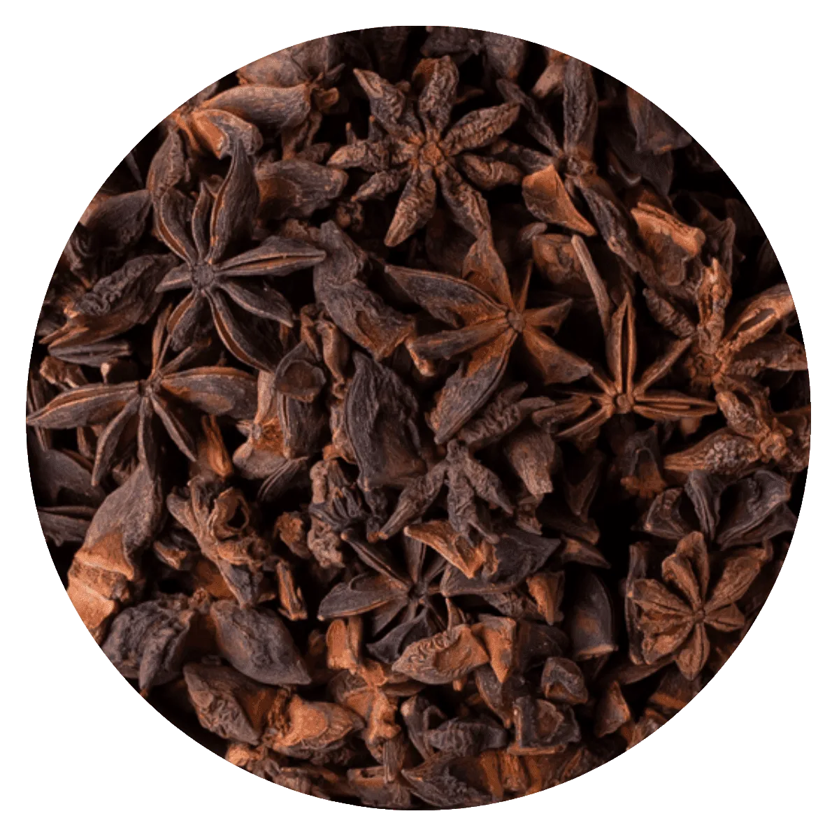 Anís estrellado x100gr