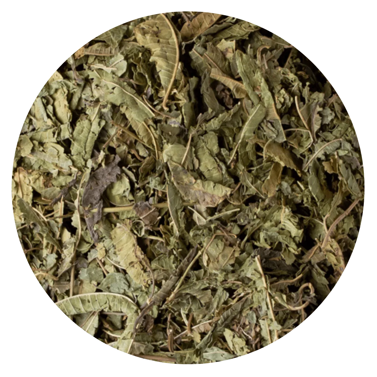 Cedrón x100gr