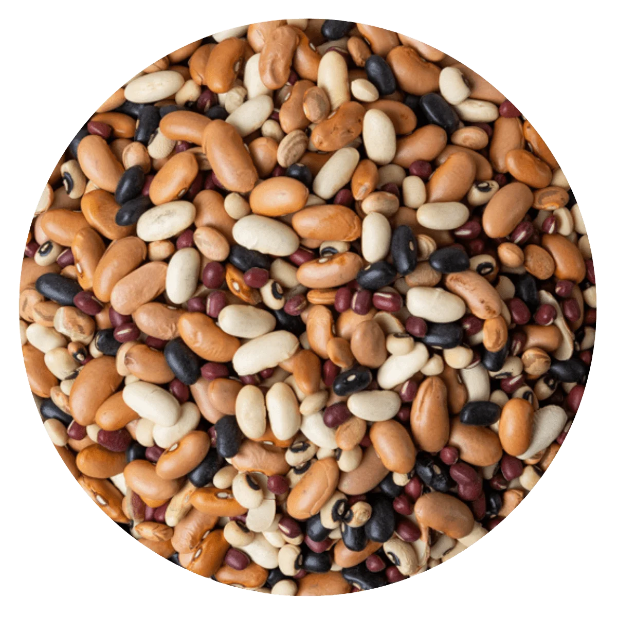 Mix legumbre cocción media