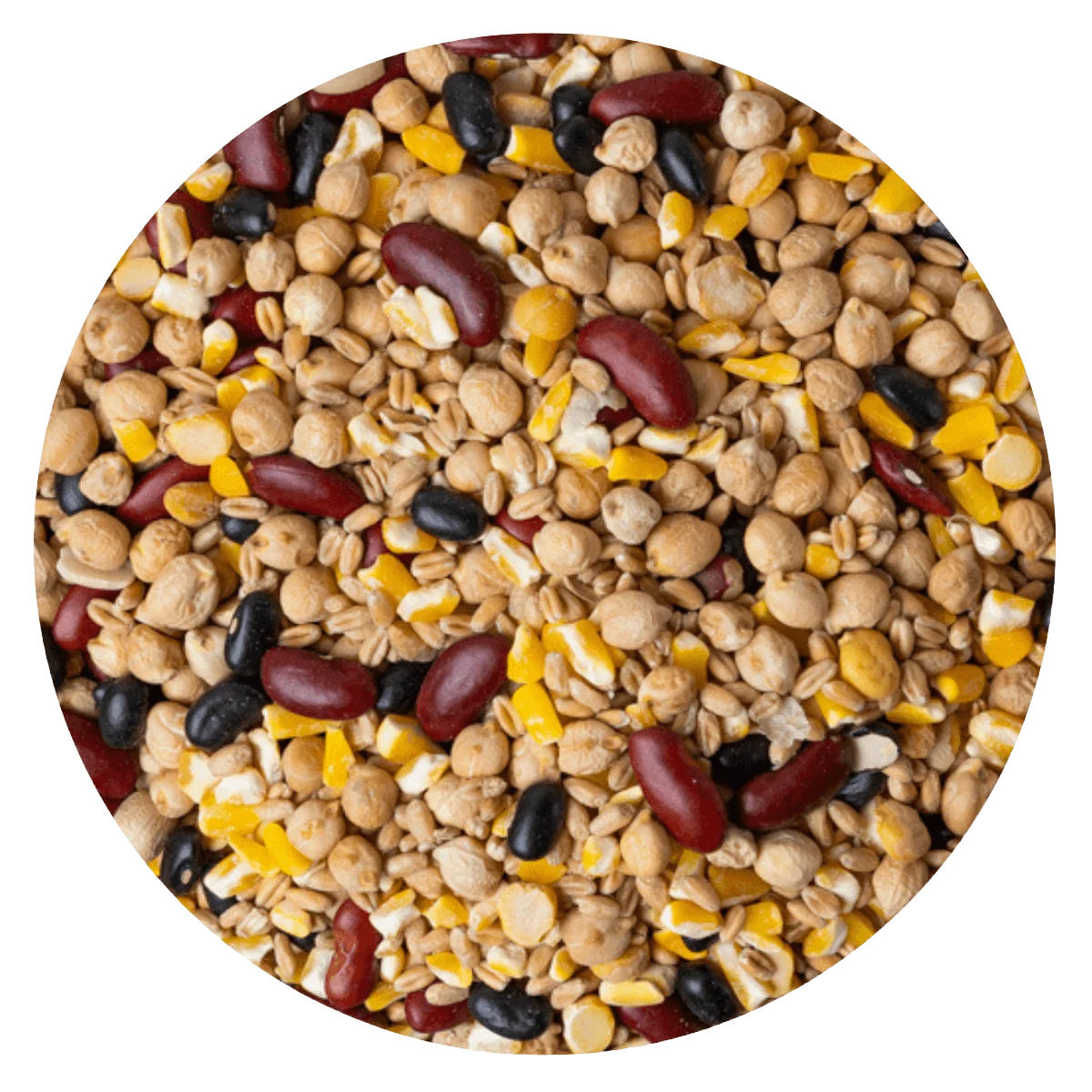 Mix legumbre cereal cocción moderada