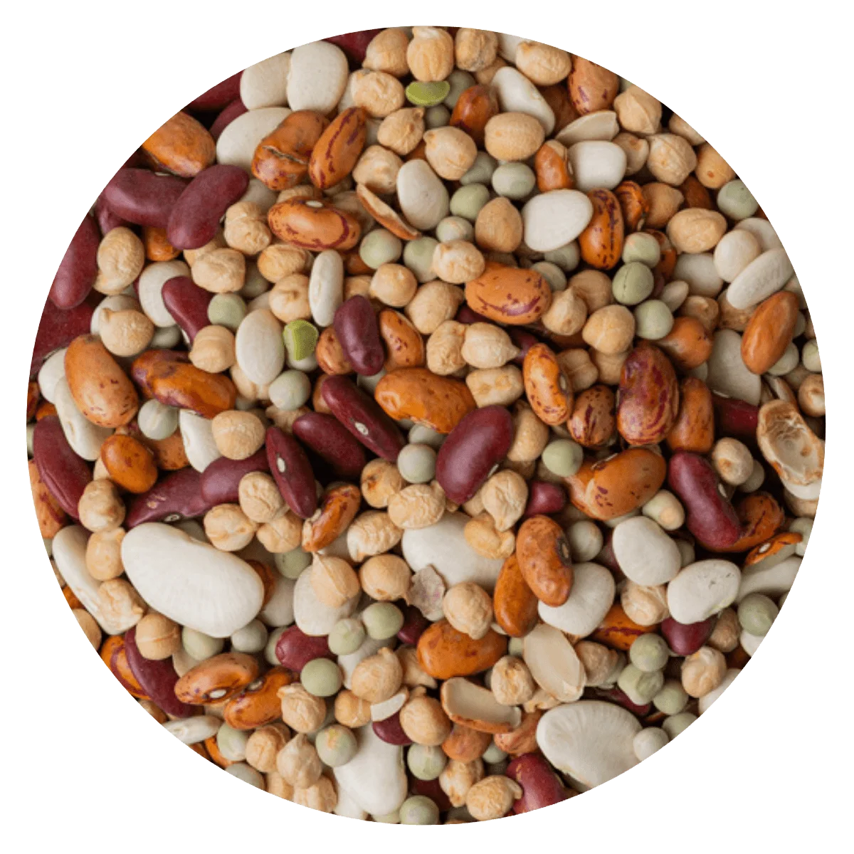 Mix legumbre cocción lenta