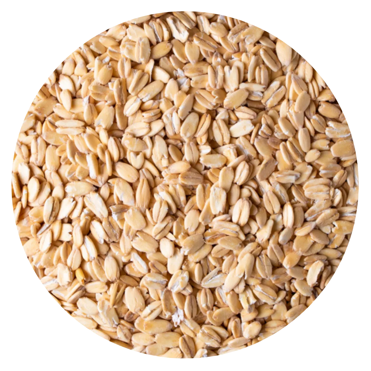 Avena gruesa Industria de avena